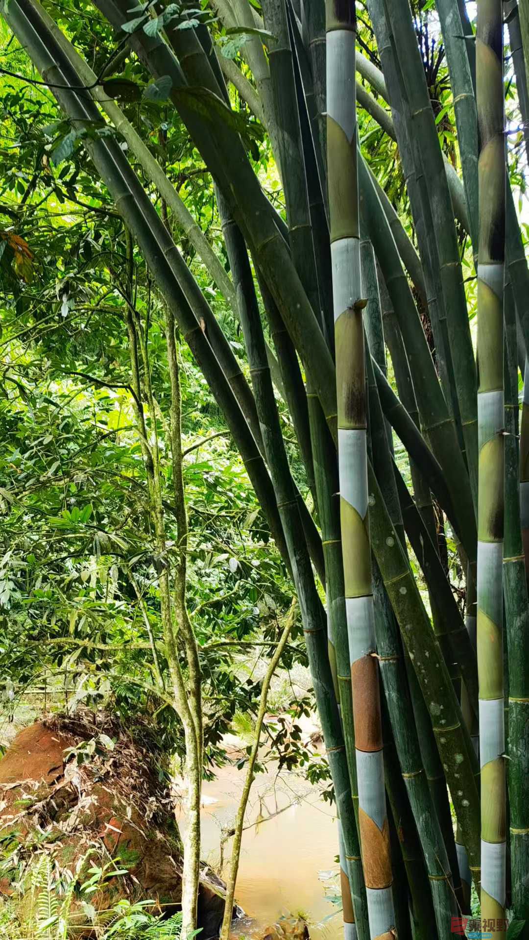 马世国_2025-09-28_092132_548 (1).jpg