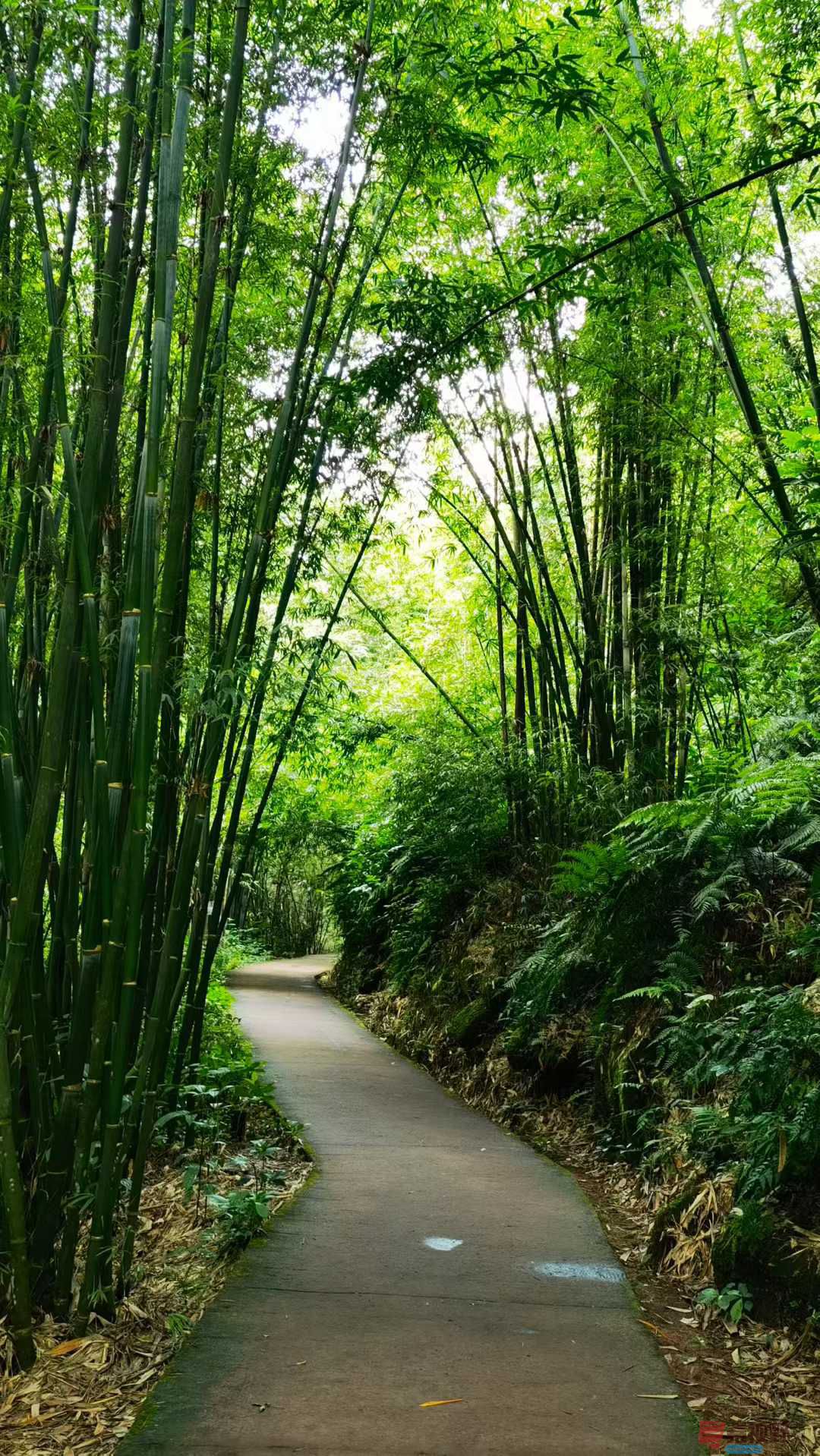 马世国_2025-09-28_092132_548 (2).jpg