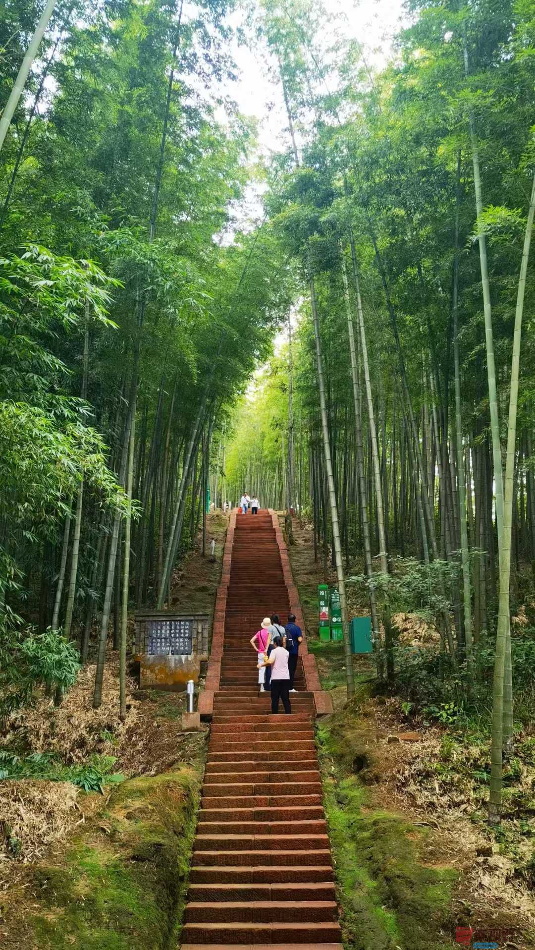 马世国_2025-09-28_092132_548 (4).jpg