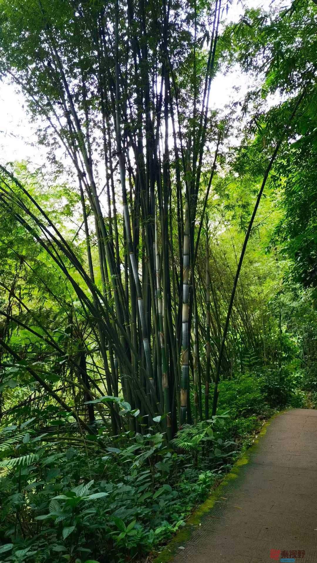 马世国_2025-09-28_092132_548 (7).jpg