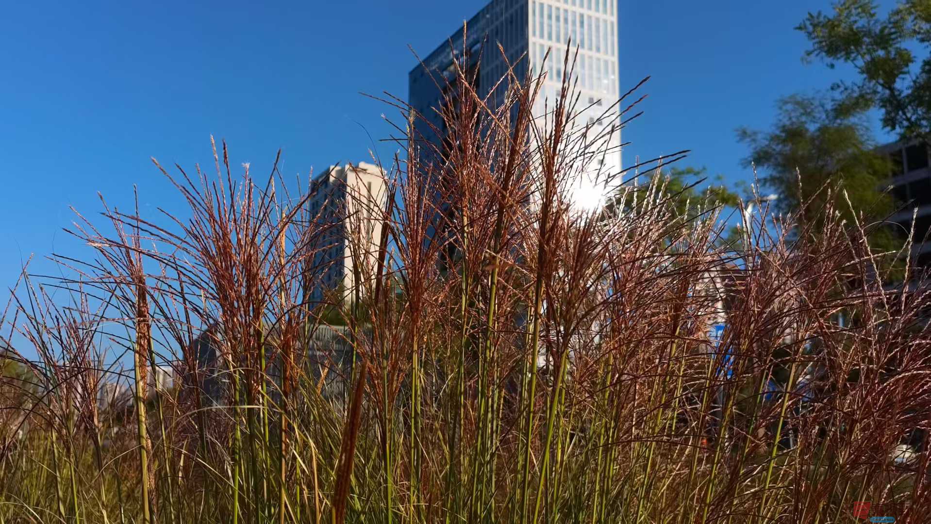 马世国_2025-09-28_093545_749 (1).jpg