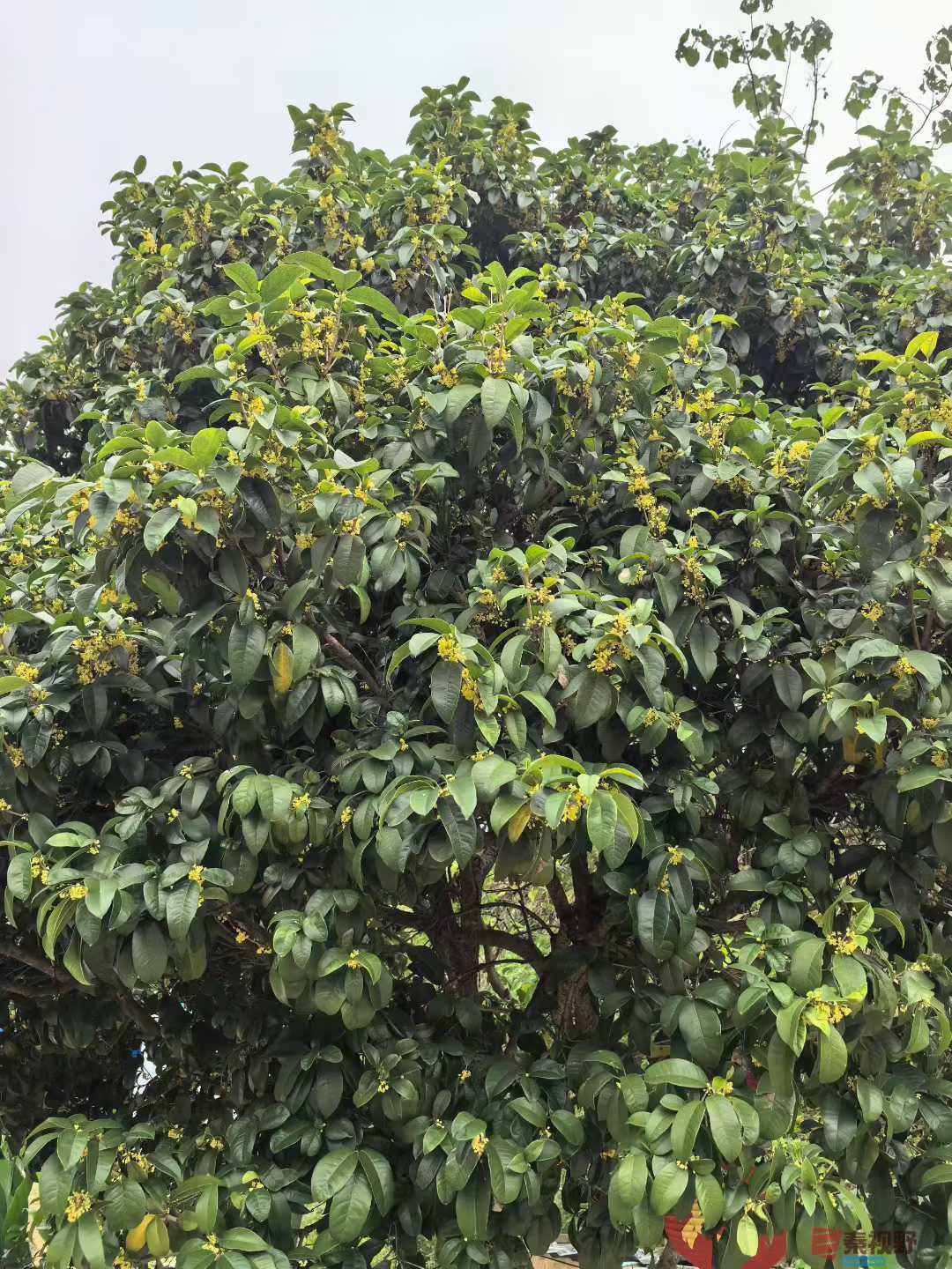 王子文_2025-09-28_093709_084 (4).jpg