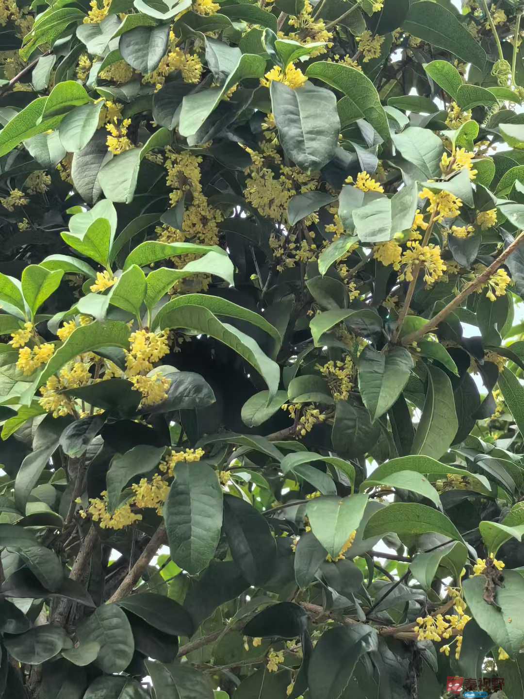 王子文_2025-09-28_093709_084 (5).jpg