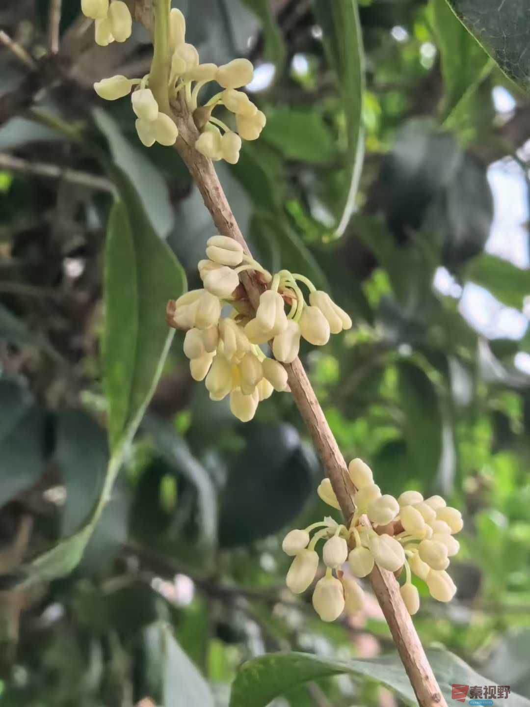 王子文_2025-09-28_093709_084 (7).jpg