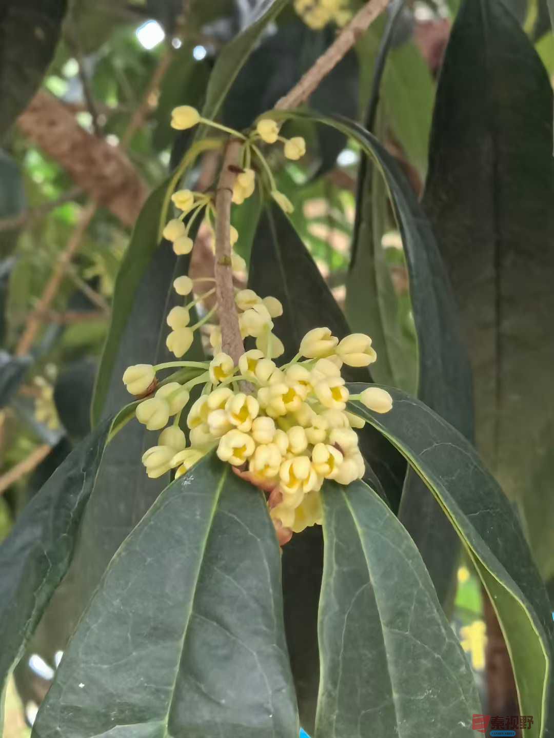 王子文_2025-09-28_093709_084 (9).jpg