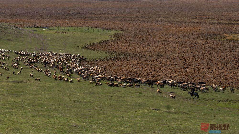 春夏秋冬压缩_20251003232547 (3).jpg