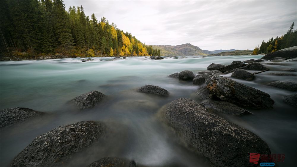 春夏秋冬压缩_20251003232547 (5).jpg