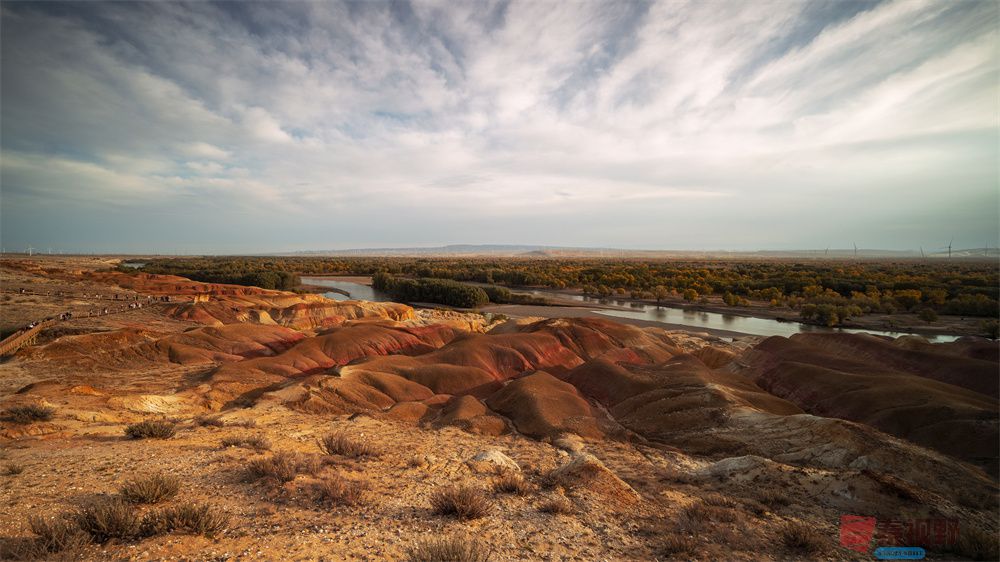 春夏秋冬压缩_20251003232547 (8).jpg