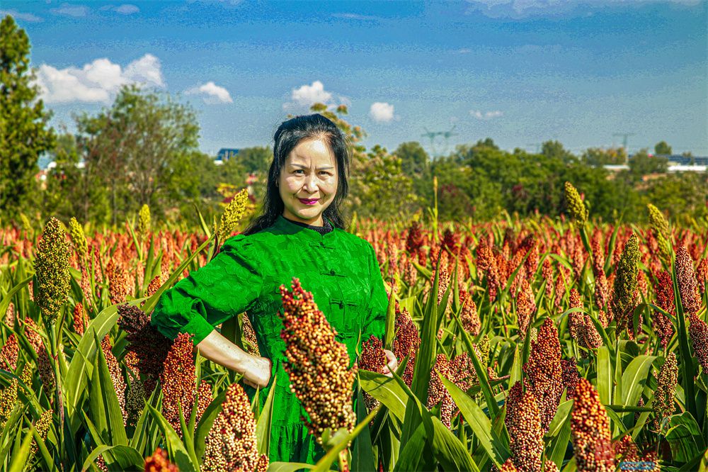 崔西宁压缩_20251003232216 (2).jpg