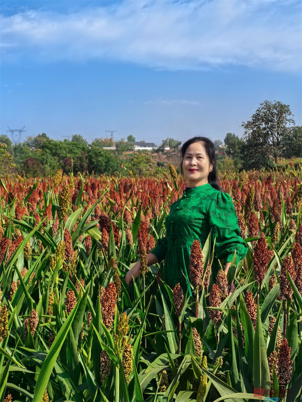 崔西宁压缩_20251003232216 (1).jpg