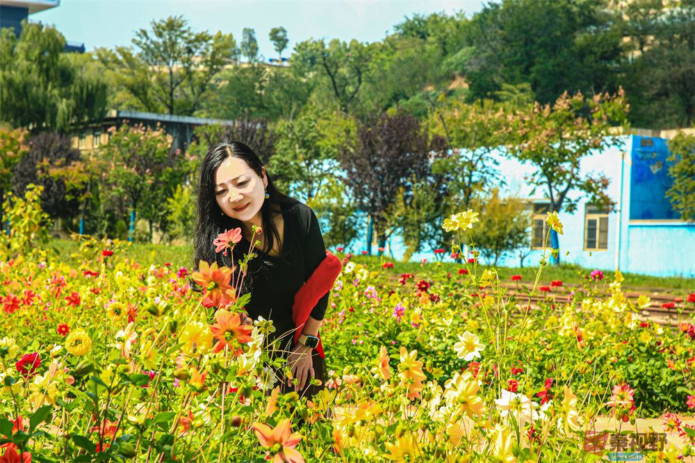 崔西宁压缩_20251003232216 (5).jpg