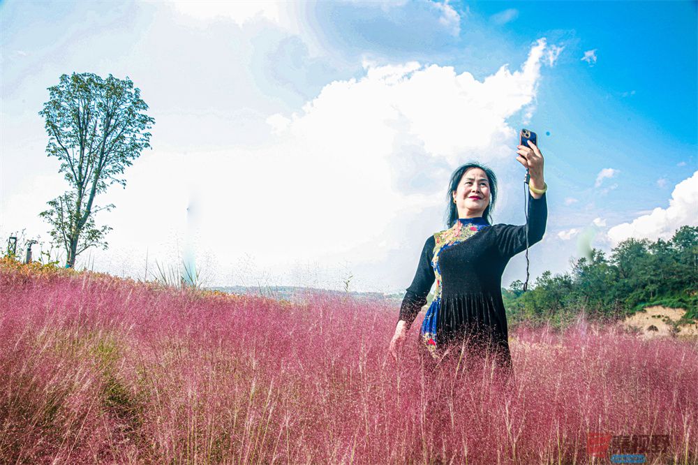 崔西宁压缩_20251003232216 (12).jpg