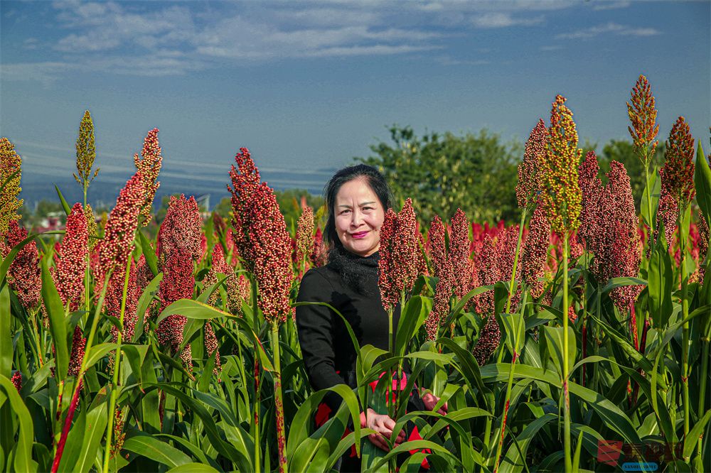 崔西宁压缩_20251003232216 (13).jpg