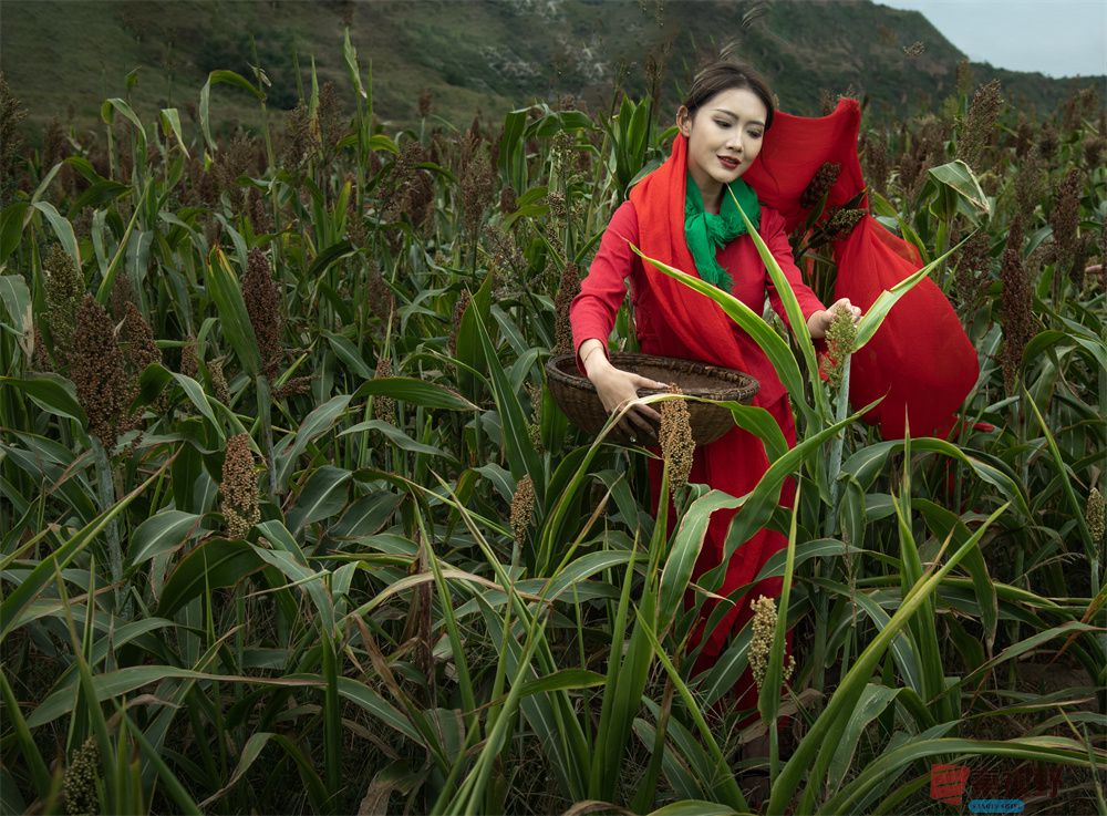 肖宝清压缩_20251003231839 (3).jpg