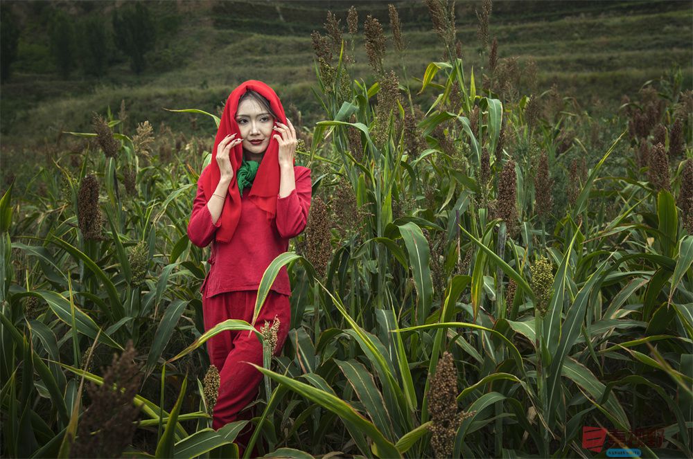 肖宝清压缩_20251003231839 (4).jpg