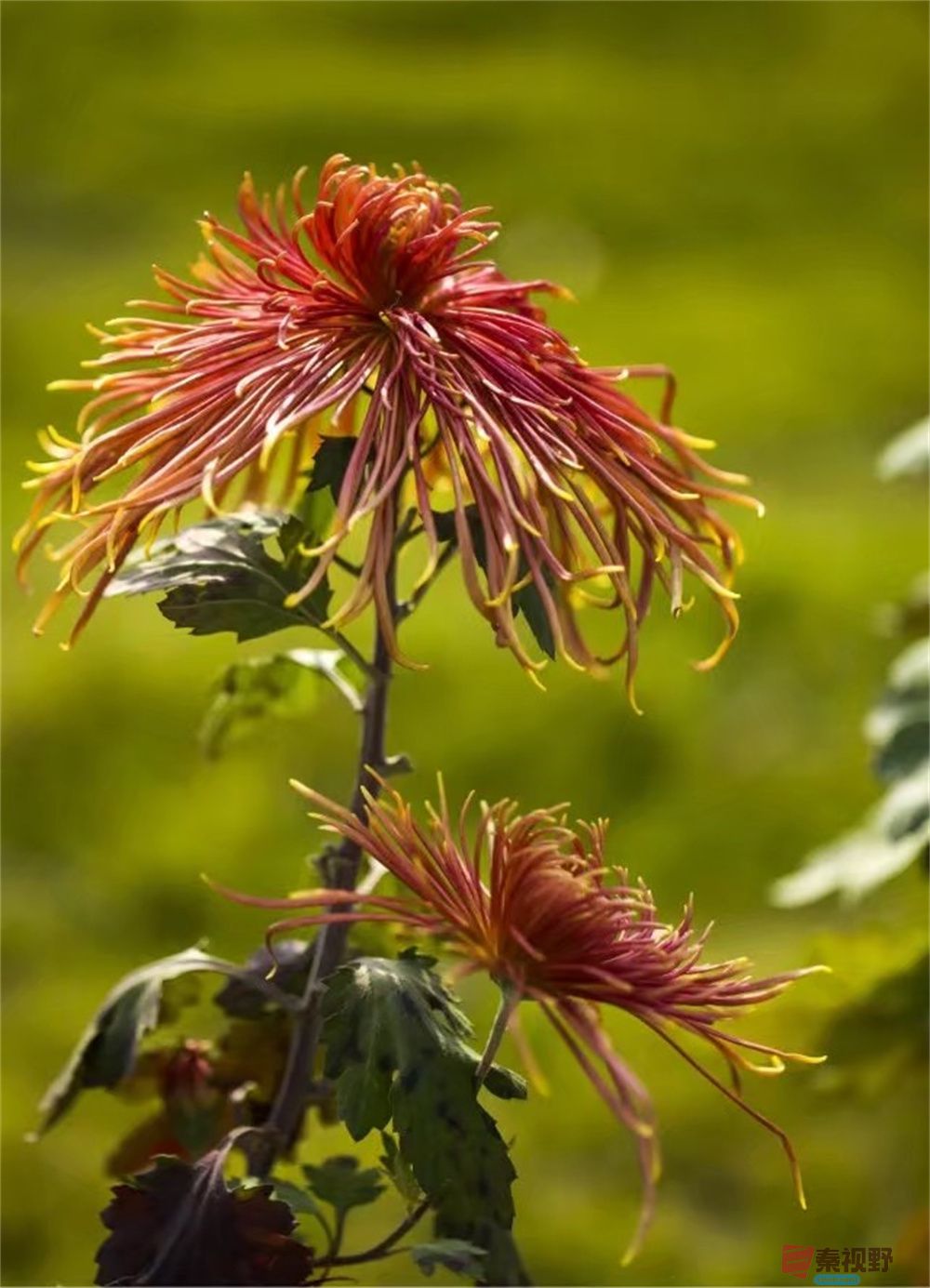 董德学压缩_20251003233101 (7).jpg