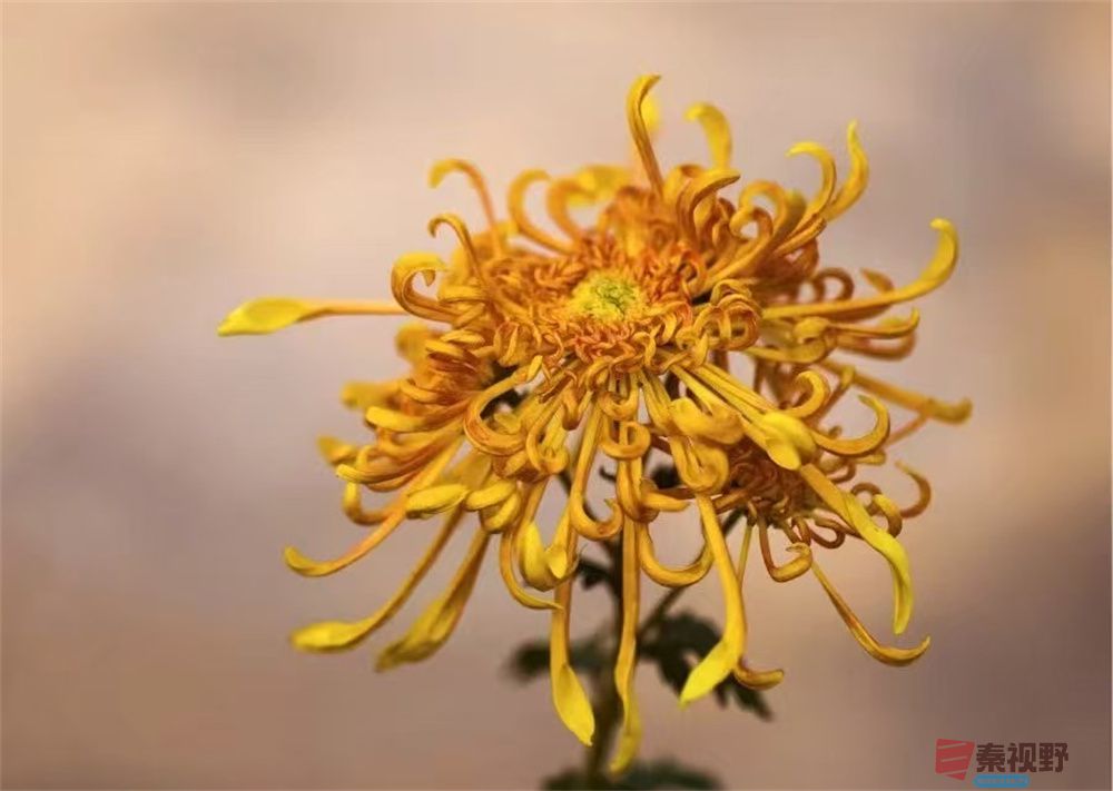 董德学压缩_20251003233101 (9).jpg