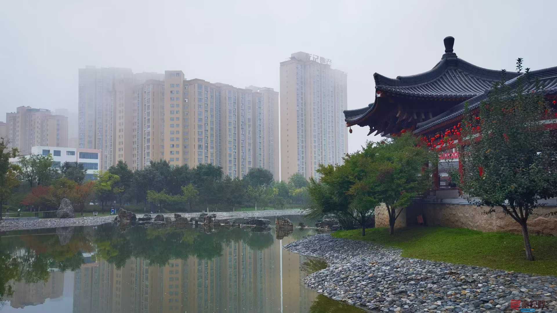 马世国_20251005171432 (1).jpg