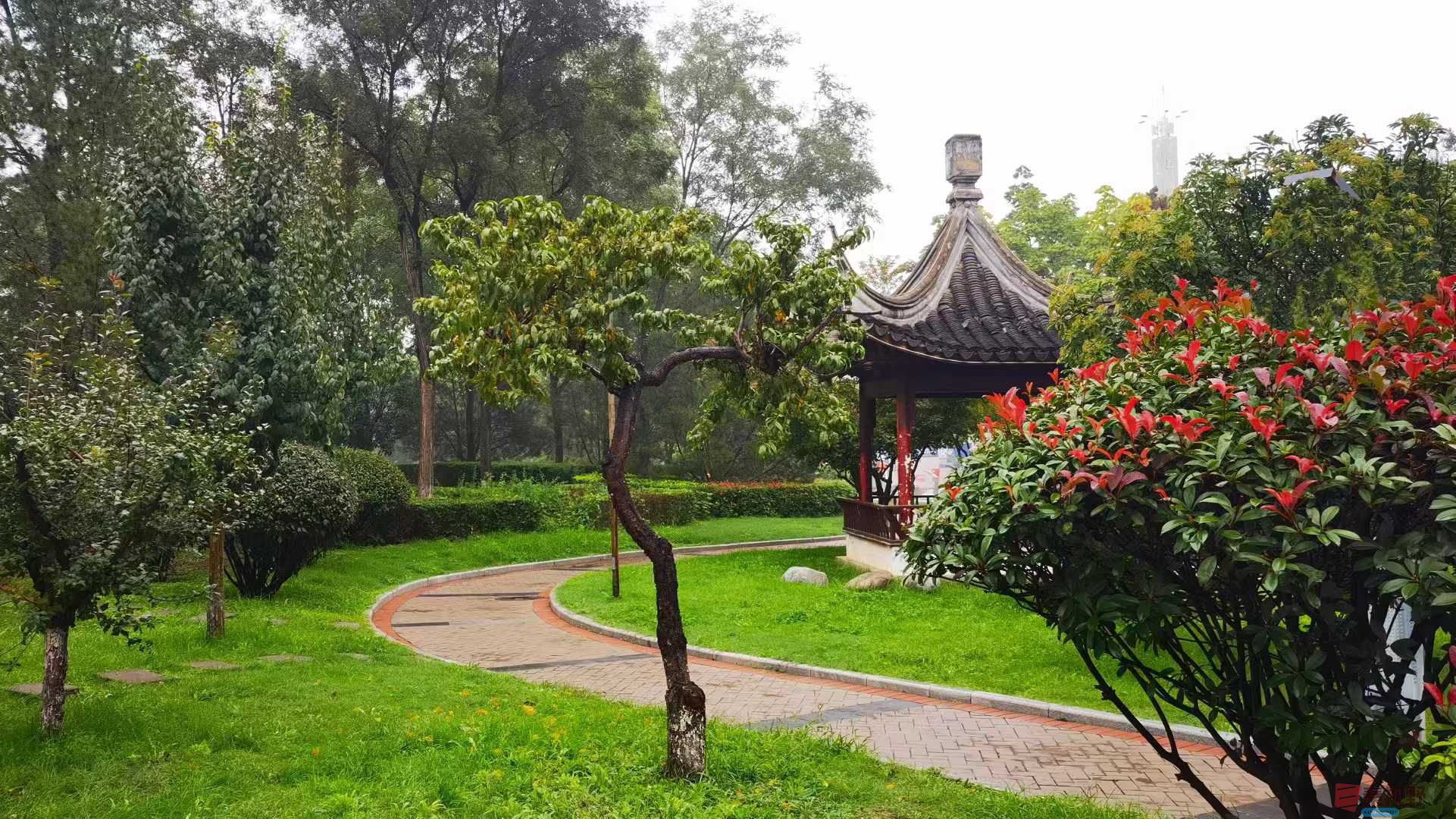 马世国_20251005171432 (5).jpg