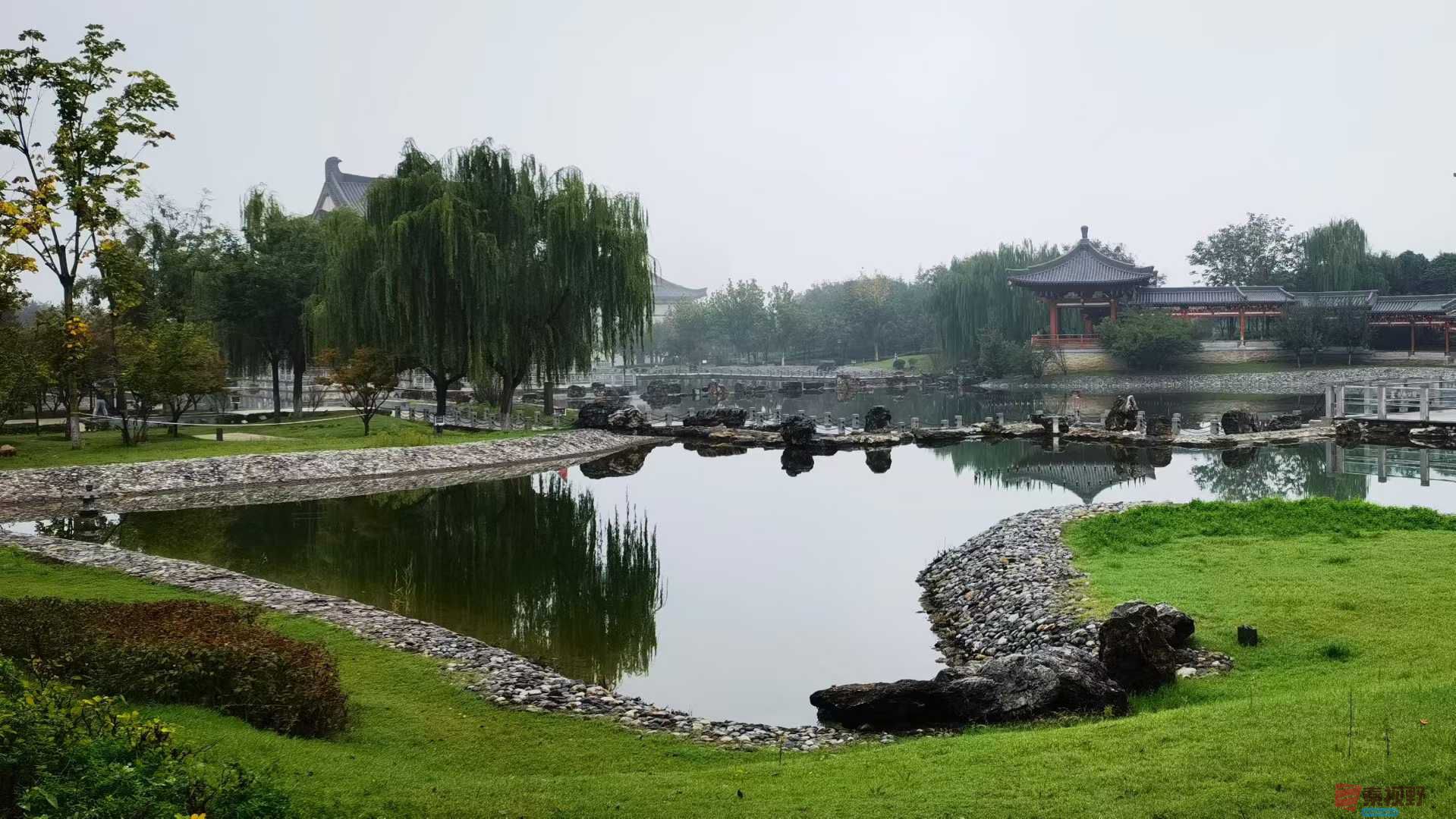 马世国_20251005171432 (3).jpg