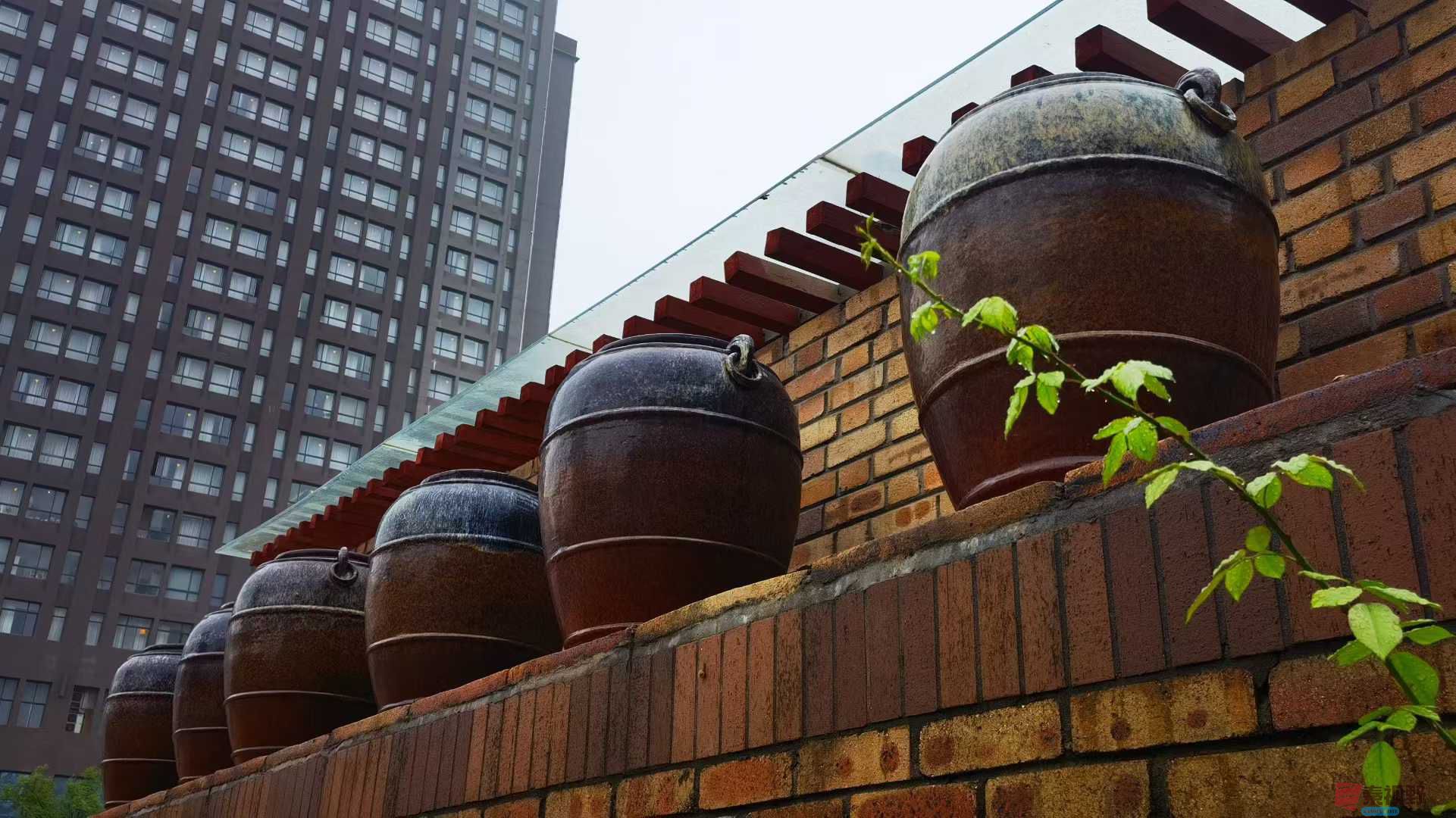 马世国_20251005171432 (4).jpg