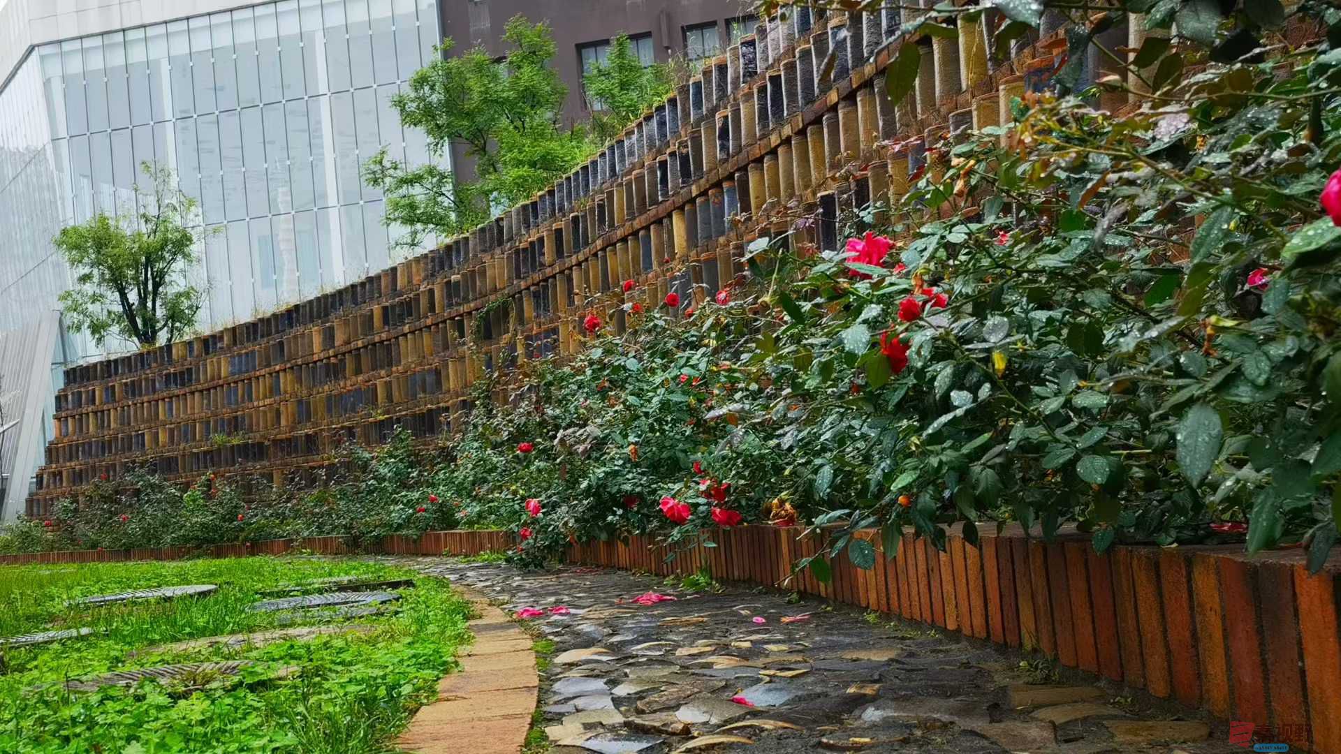 马世国_20251005171432 (6).jpg