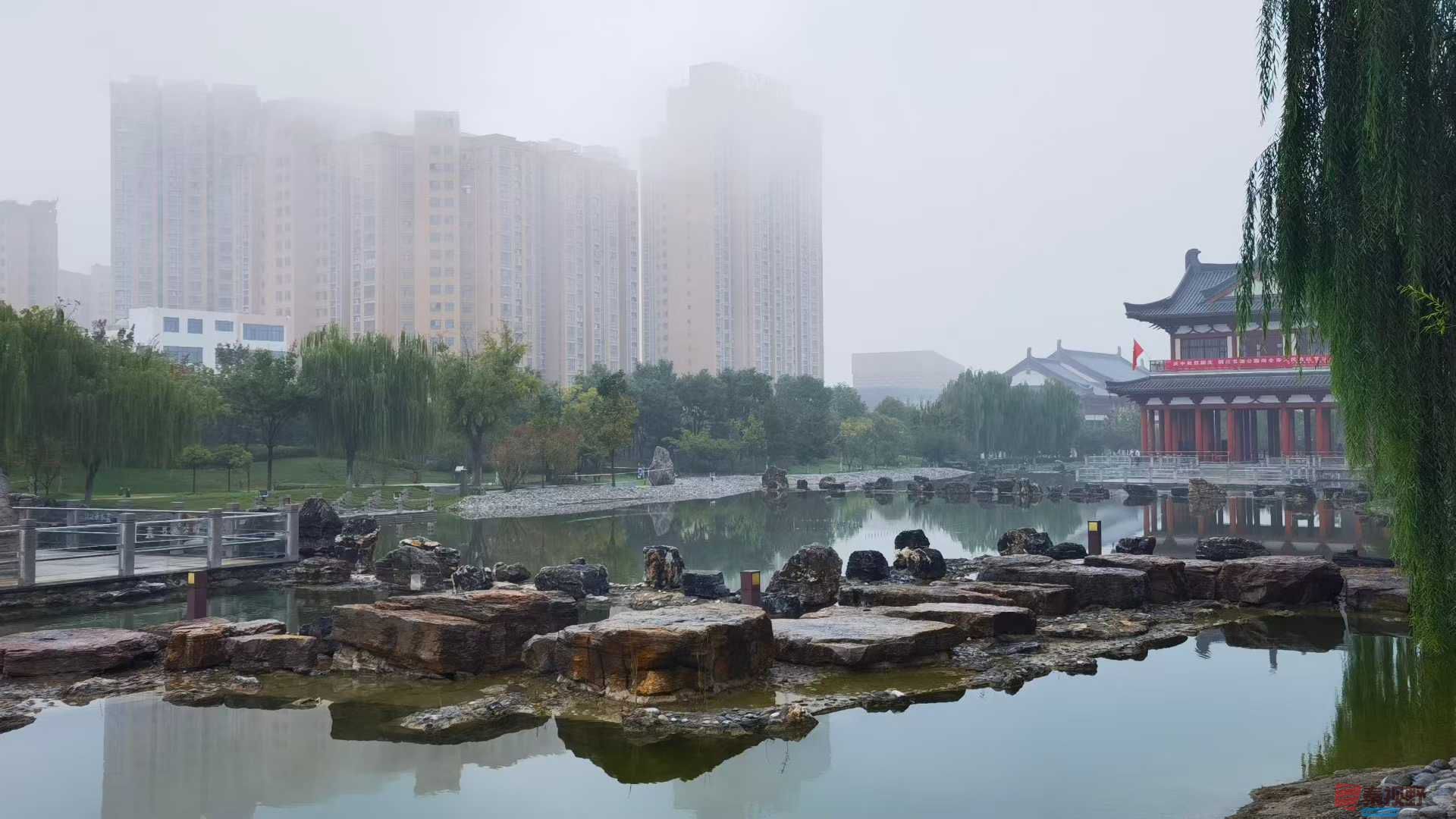 马世国_20251005171432 (7).jpg