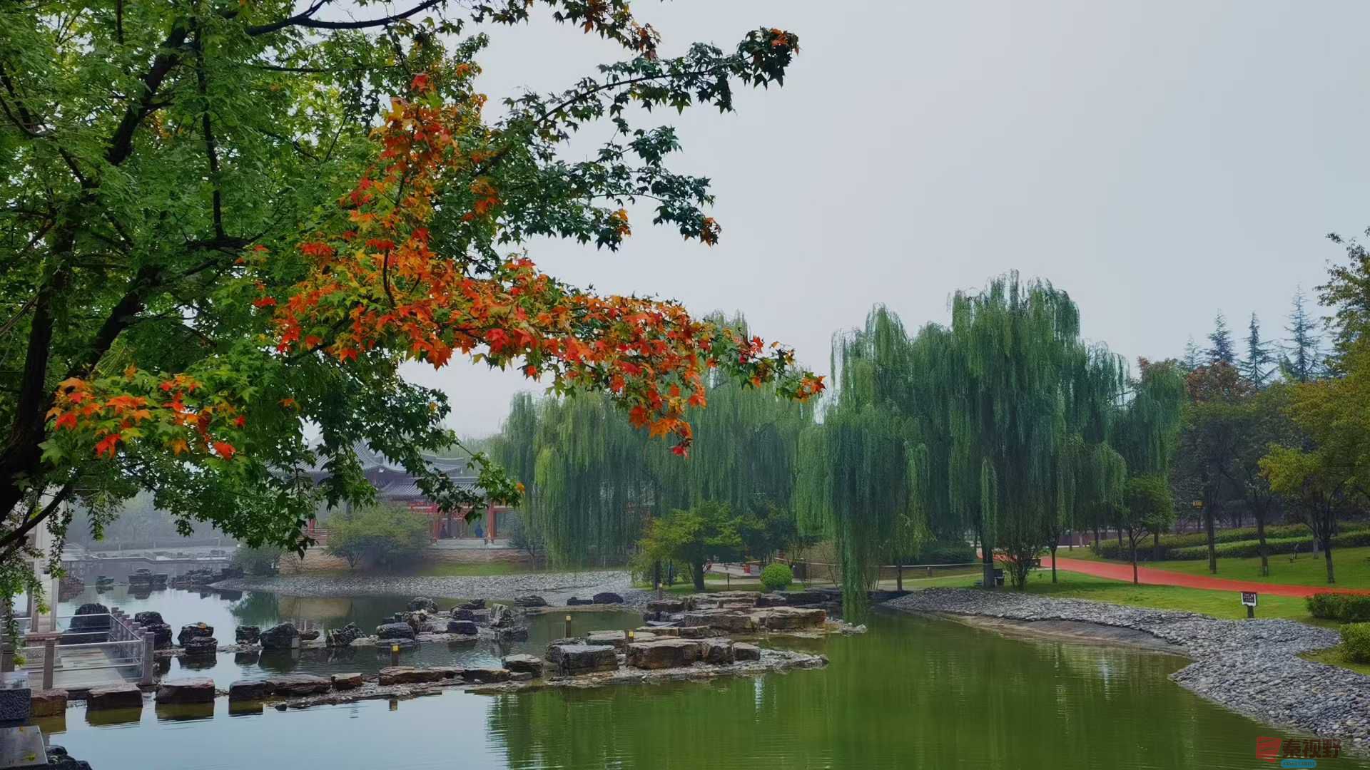 马世国_20251005171432 (8).jpg