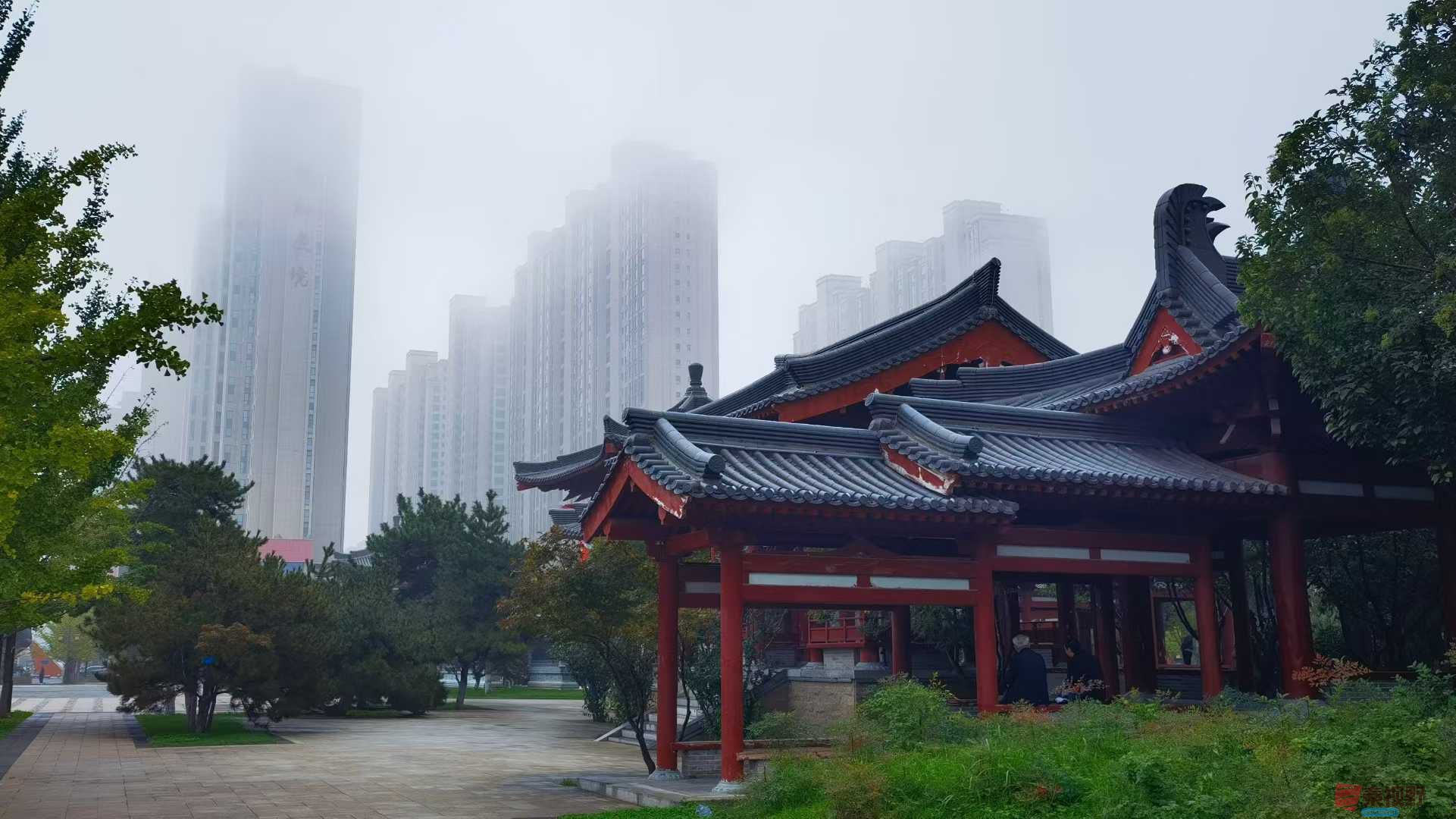 马世国_20251005171432 (9).jpg