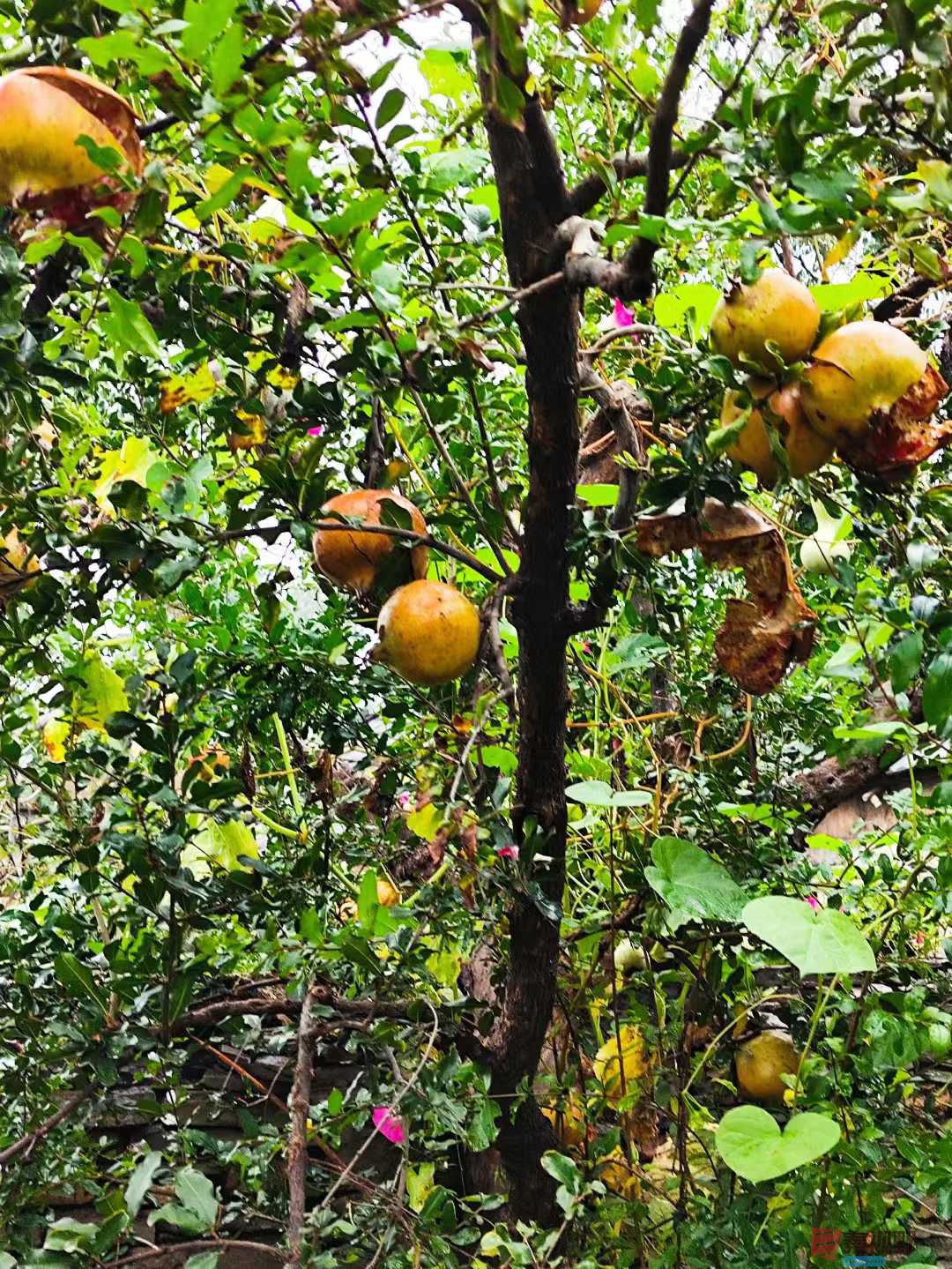 连大有_20251005213415 (2).jpg