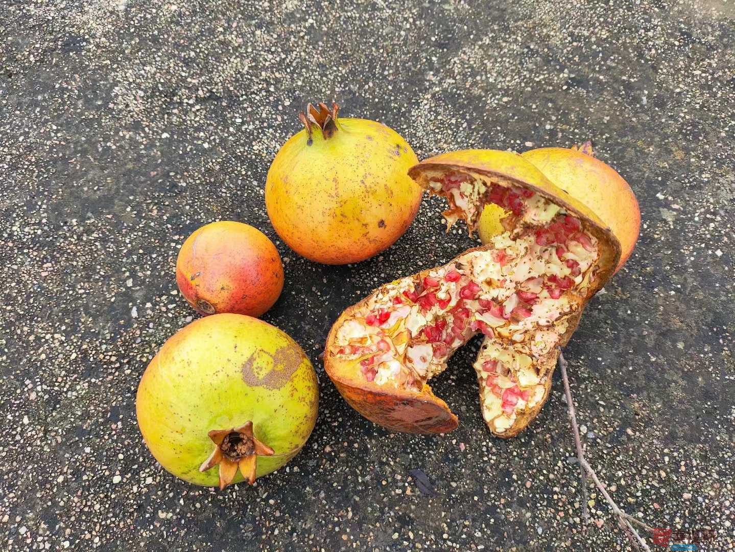 连大有_20251005213415 (3).jpg