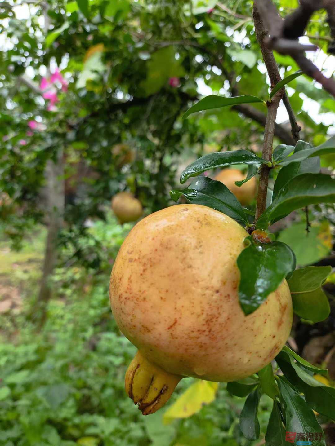 连大有_20251005213415 (5).jpg