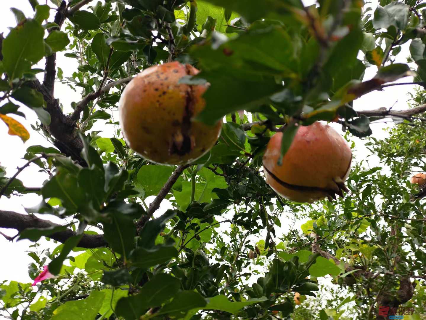 连大有_20251005213415 (6).jpg