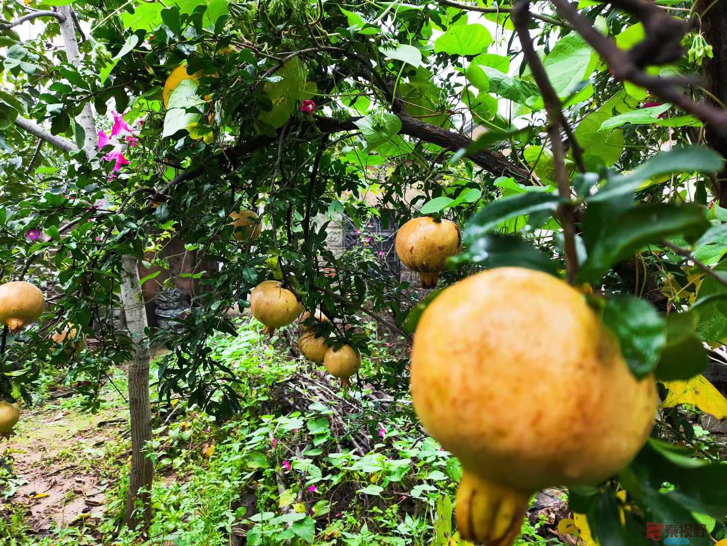 连大有_20251005213415 (8).jpg