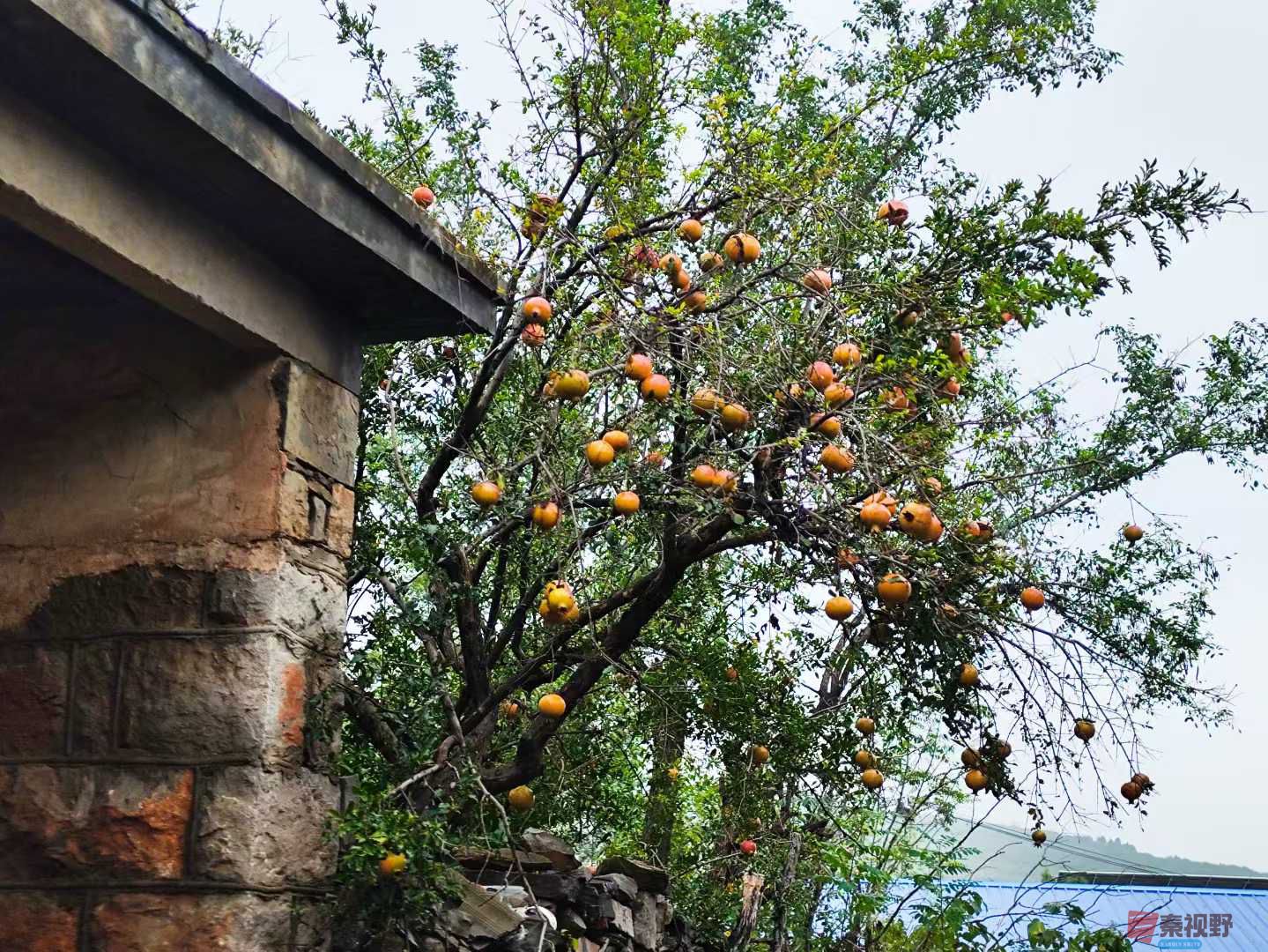 连大有_20251005213415 (9).jpg