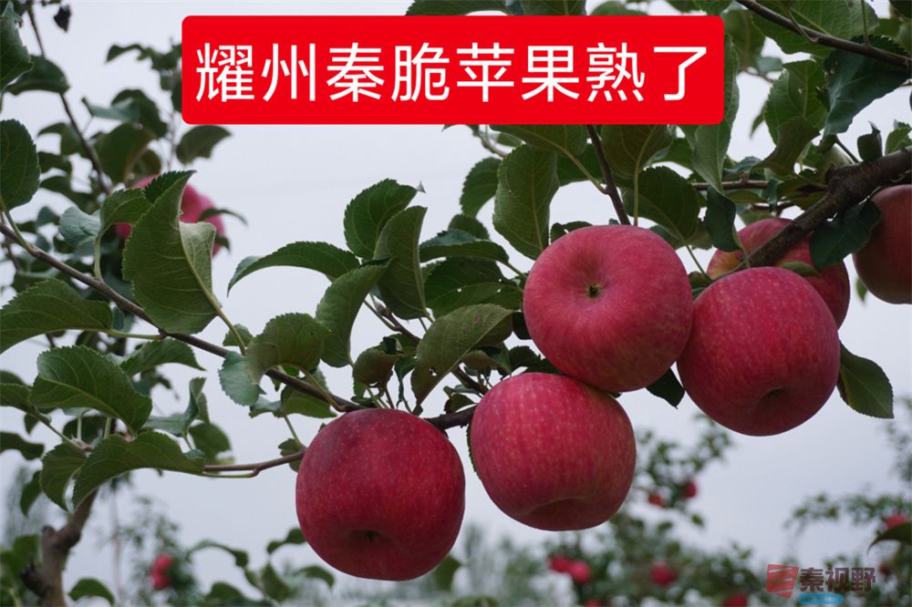 孙宏伟压缩_20251006202511 (1).jpg