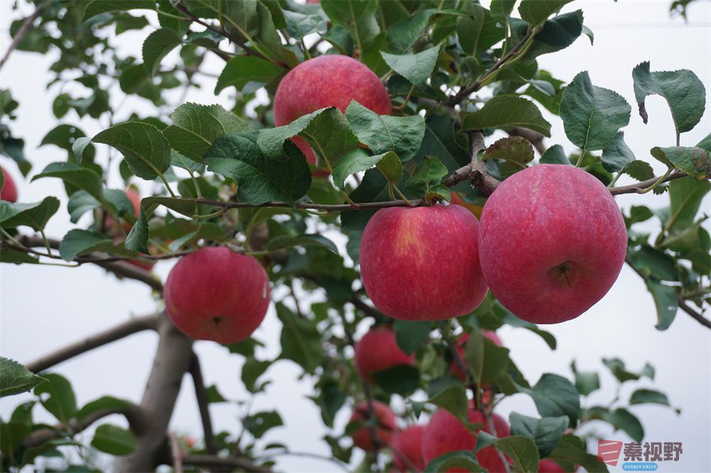 孙宏伟压缩_20251006202511 (2).jpg