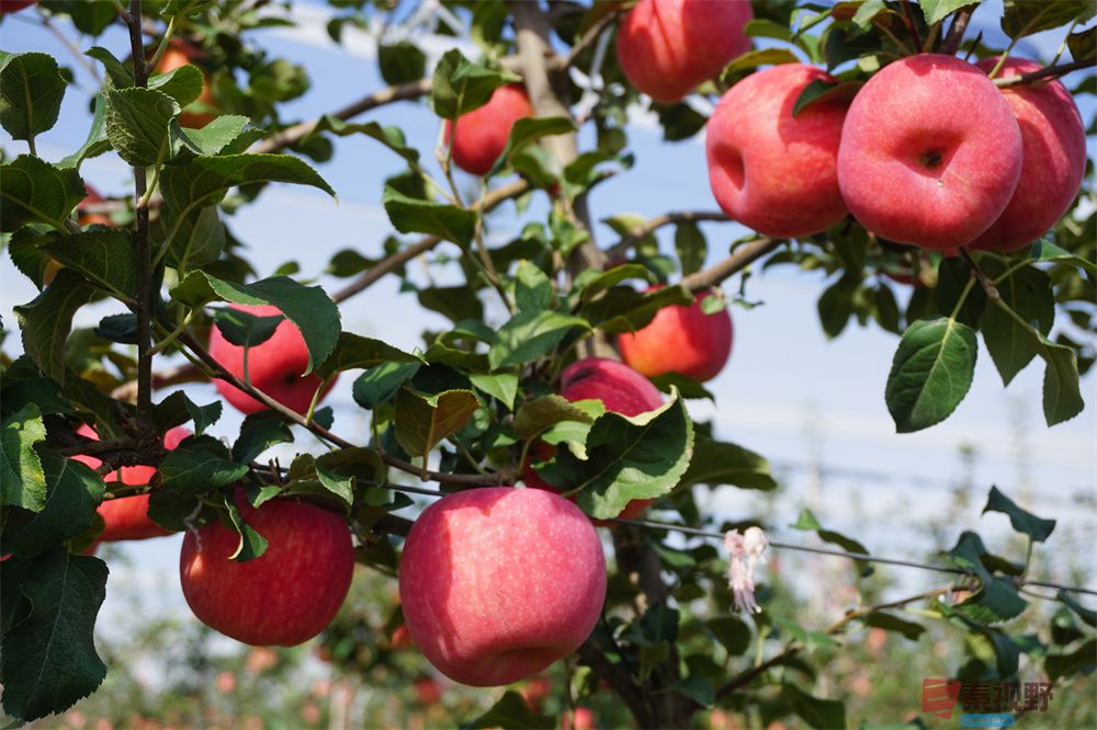 孙宏伟压缩_20251006202511 (5).jpg