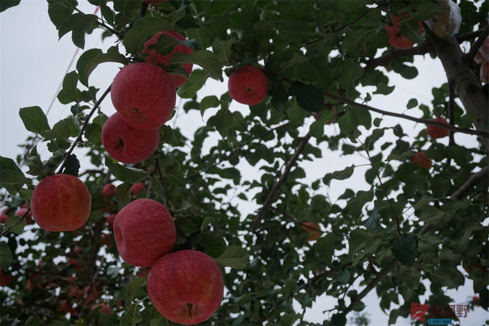 孙宏伟压缩_20251006202511 (3).jpg