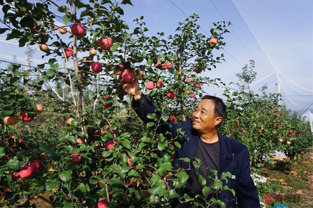 孙宏伟压缩_20251006202511 (4).jpg