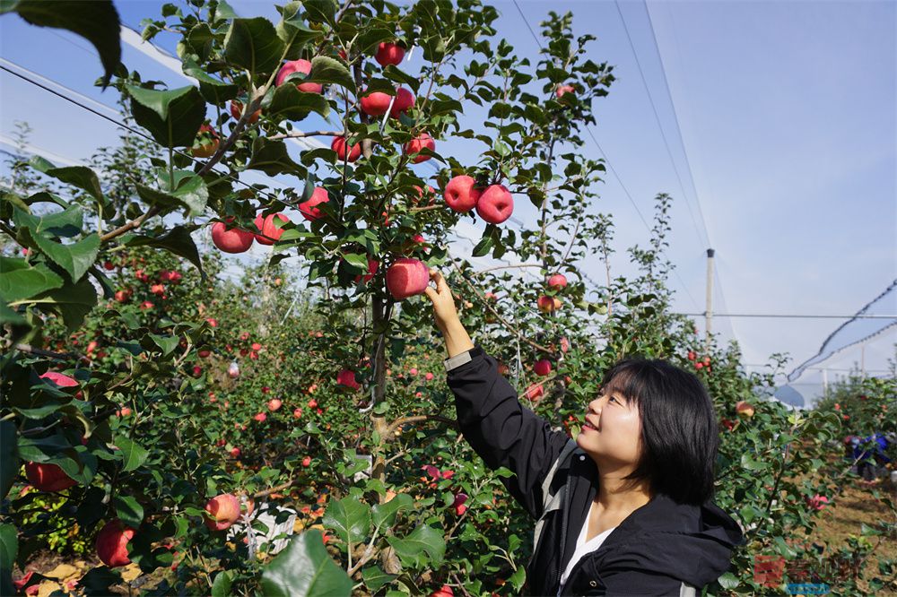 孙宏伟压缩_20251006202511 (6).jpg