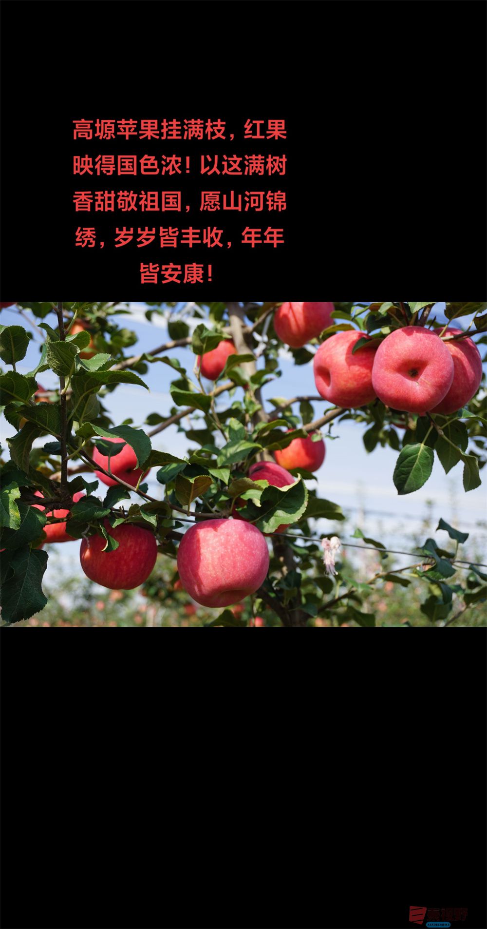 孙宏伟压缩_20251006202511 (11).jpg