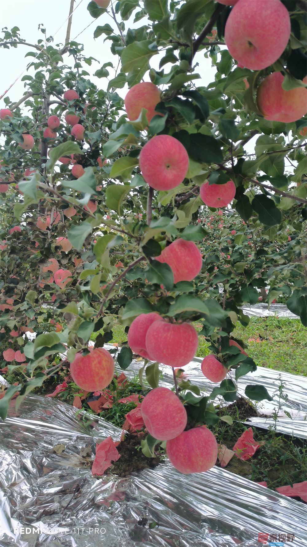 孙宏伟压缩_20251006202511 (8).jpg