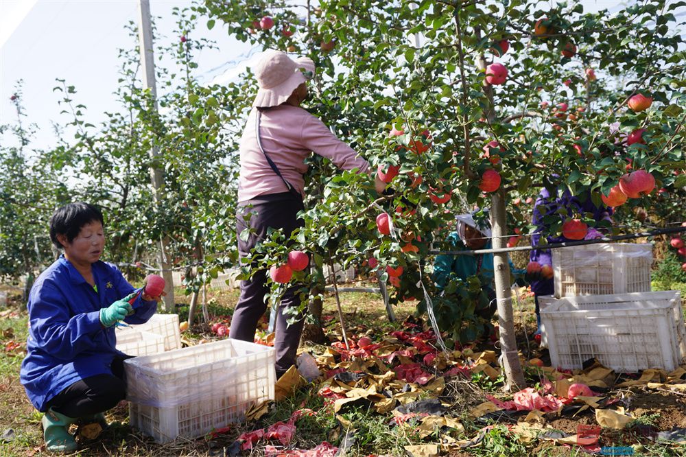 孙宏伟压缩_20251006202511 (15).jpg