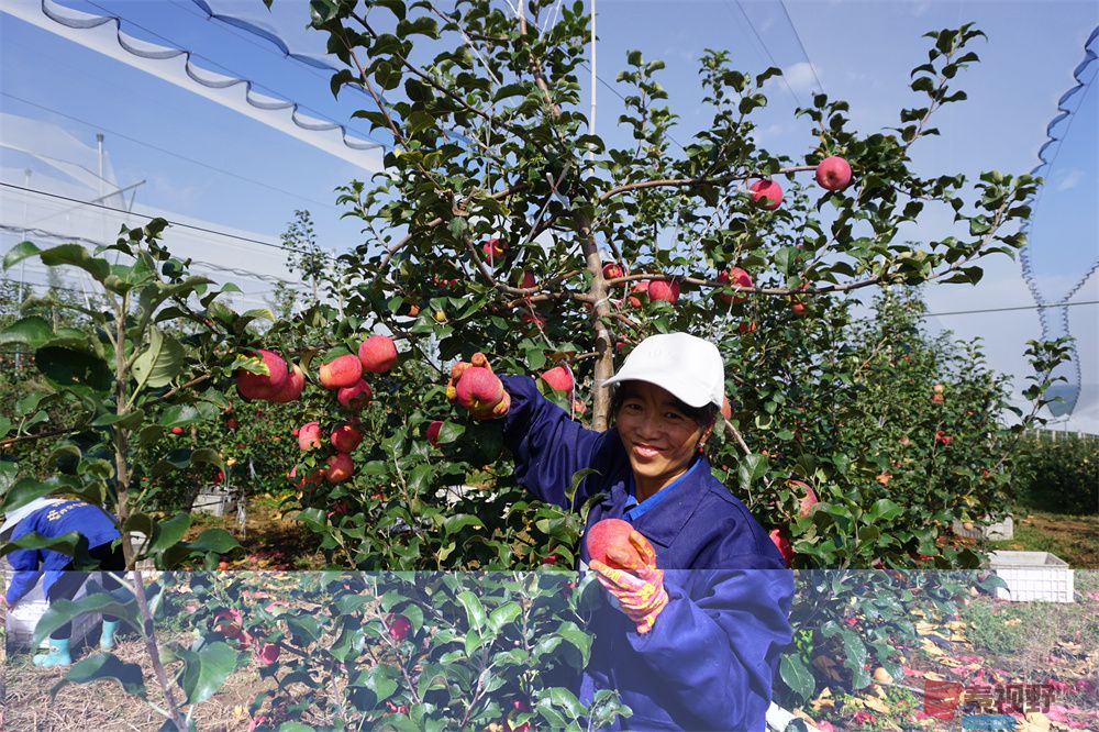 孙宏伟压缩_20251006202511 (17).jpg