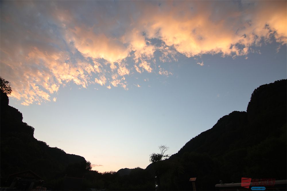 陈耀杰压缩_20251006205422 (3).jpg