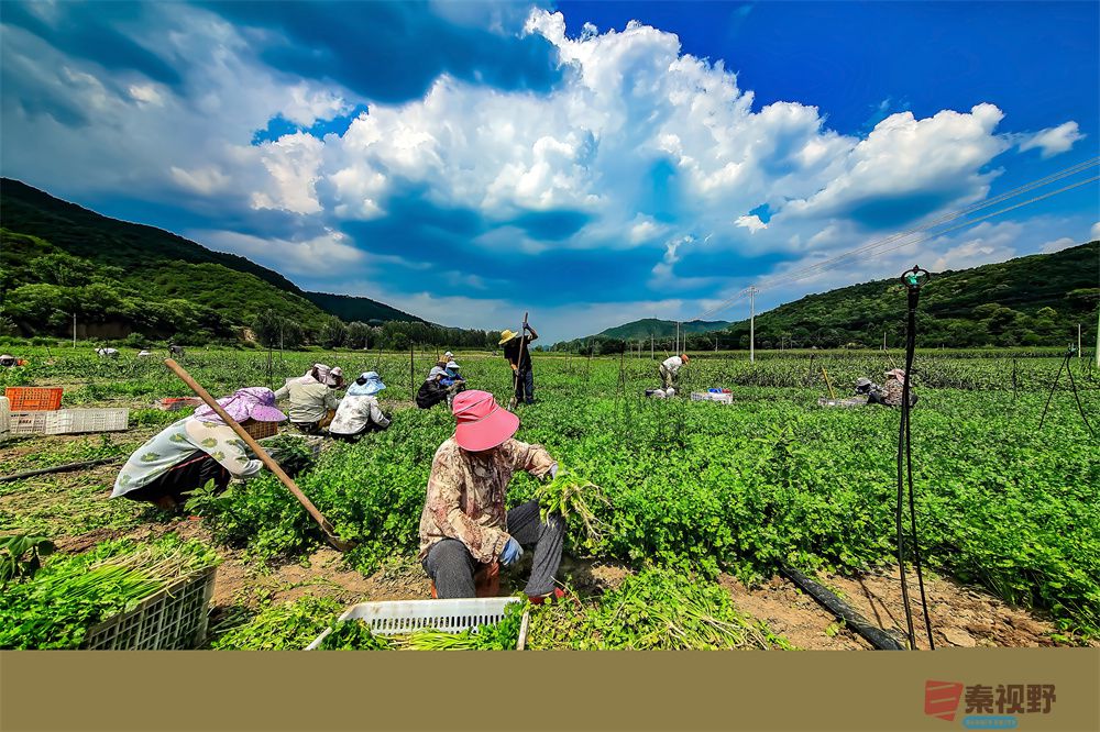 陈耀杰压缩_20251006205422 (9).jpg