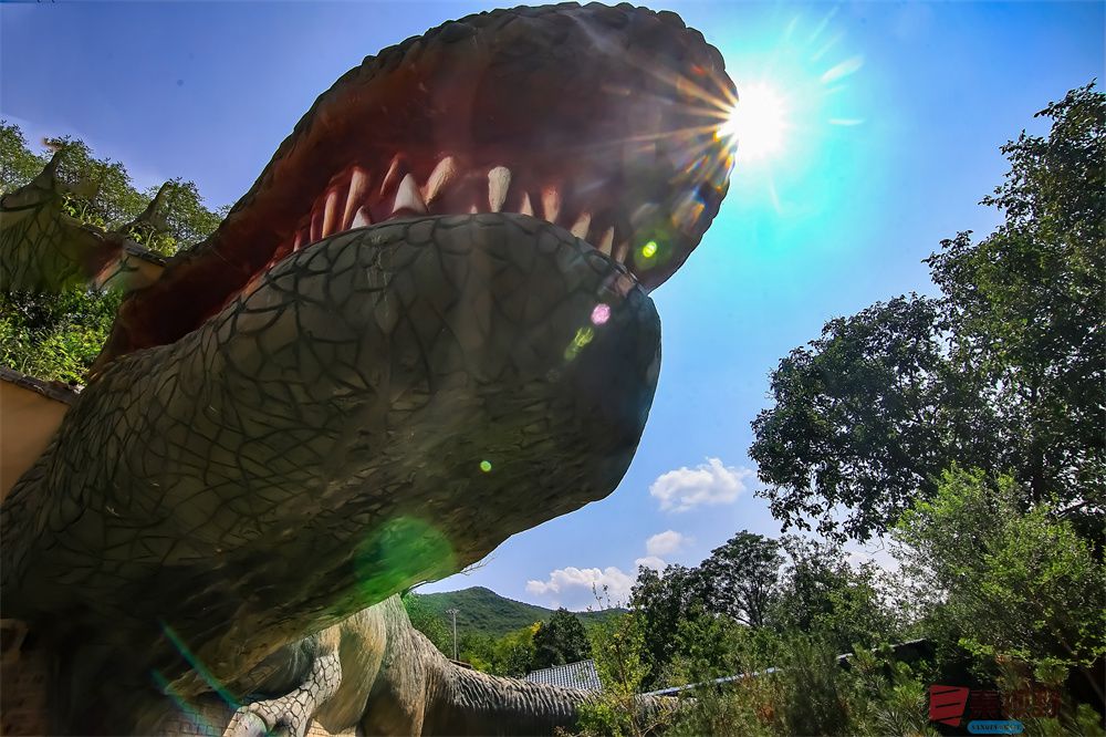 陈耀杰压缩_20251006205422 (11).jpg