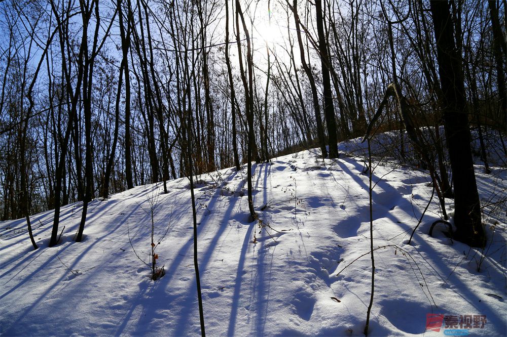 寇群利压缩_20251006210152 (10).jpg