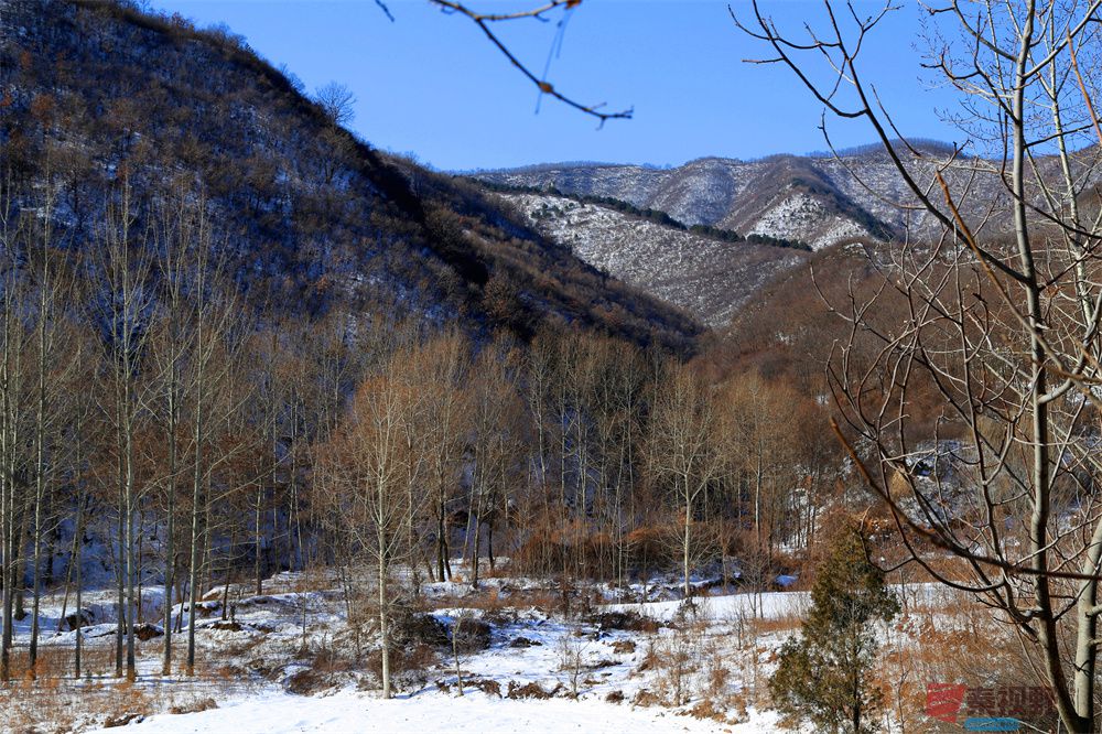 寇群利压缩_20251006210152 (12).jpg